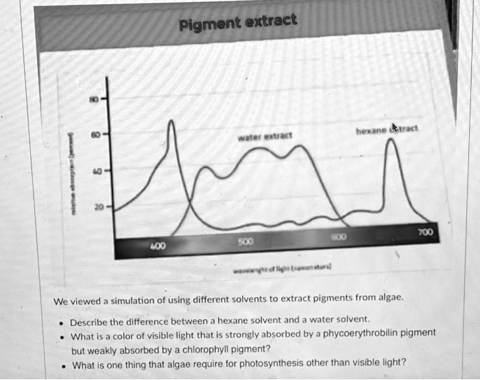 SOLVED: Pigment Extract 10 100 We Viewed A Simulation Of Using ...