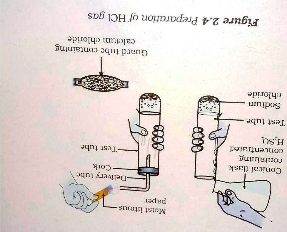 Draw the Preparation of HCl gas step by step