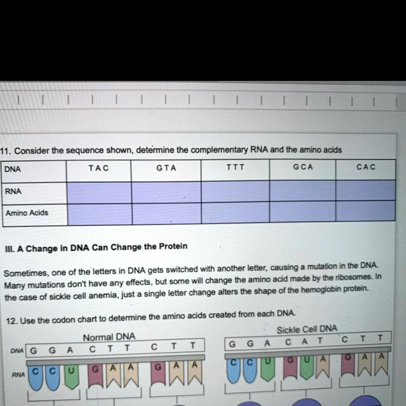 SOLVED Determine the complementary RNA and the amino acids 11