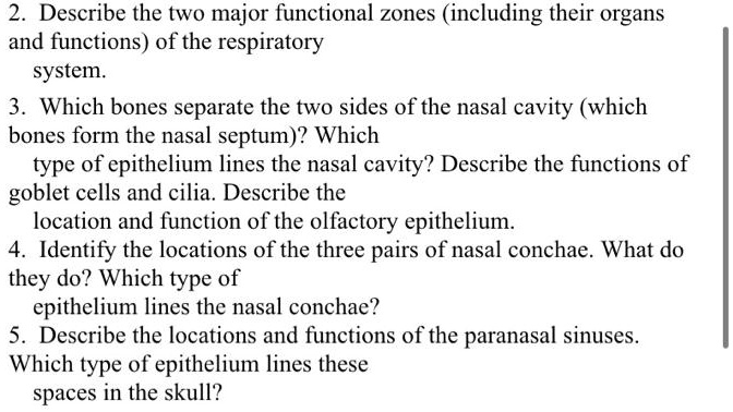 SOLVED: Describe the two major functional zones (including their organs ...