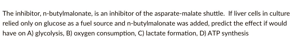 The inhibitor, n-butylmalonate, is an inhibitor of the asparate-malate shuttle. If liver cells in culture relied only on glucose as a fuel source and n-butylmalonate was added, predict the effect if would have on A) glycolysis, B) oxygen consumption, C) lactate formation, D) ATP synthesis