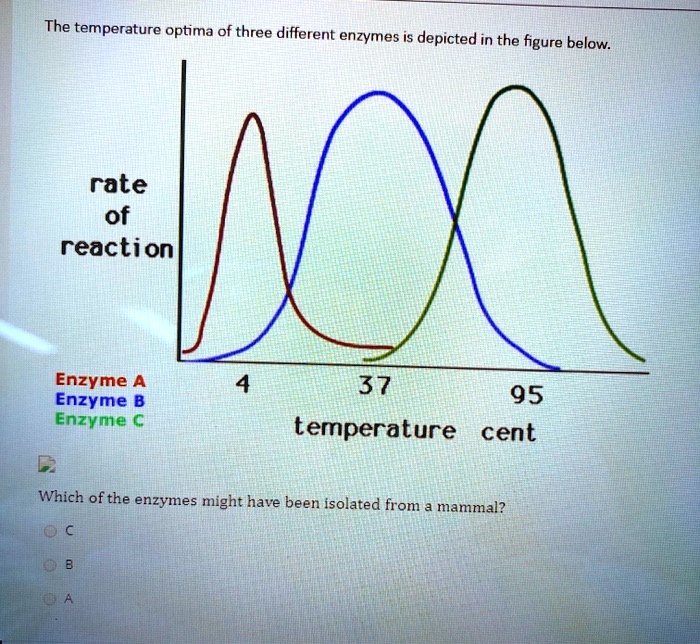 SOLVED The temperature optima of three different enzymes is depicted
