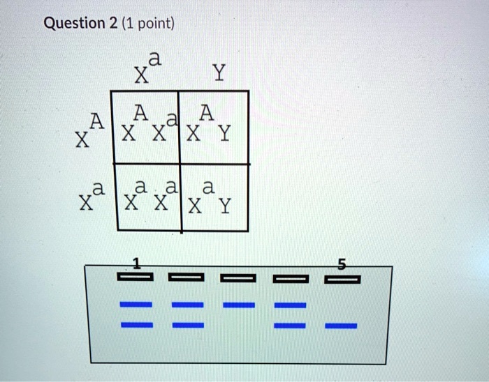A X A _ AX Definition & Meaning – UQGRJ