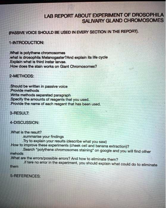 SOLVED LAB REPORT ABOUT EXPERIMENT OF DROSOPHILA SALIVARY GLAND
