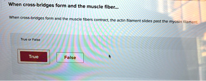 When cross-bridges form and the muscle fiber...
When cross-bridges form and the muscle fibers contract, the actin filament slides past the myosin filament.
True or False
True
False