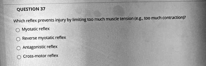 Which reflex prevents injury by limiting too much muscle tension (e.g., too much contraction)?
Myotatic reflex
Reverse myotatic reflex
Antagonistic reflex
Cross-motor reflex