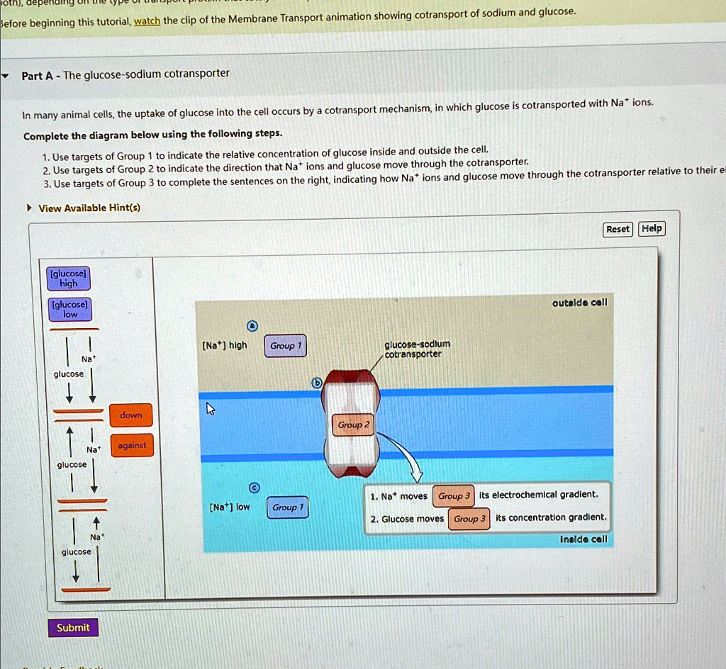Before beginning this tutorial, watch the clip of the Membrane ...