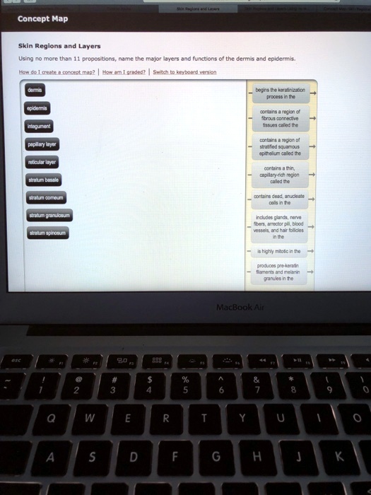 SOLVED Concept Map Skin Regions and Layers Using no more than 11 propositions, name the major