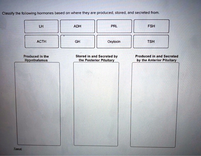 Classify the following hormones based on where they are produced, stored, and secreted from.
LH
ADH
PRL
FSH
ACTH
GH
Oxytocin
TSH
Produced in the Hypothalamus
Stored in and Secreted by the Posterior Pituitary
Produced in and Secreted by the Anterior Pituitary