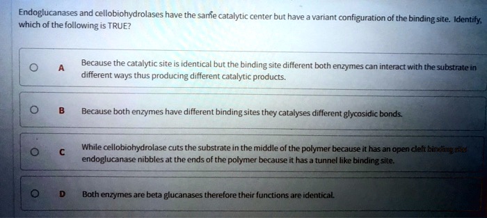 Endoglucanases and cellobiohydrolases have the same catalytic center but have a variant configuration of the binding site. Identify,
which of the following is TRUE?
A
Because the catalytic site is identical but the binding site different both enzymes can interact with the substrate in
different ways thus producing different catalytic products.
B
Because both enzymes have different binding sites they catalyses different glycosidic bonds.
C
While cellobiohydrolase cuts the substrate in the middle of the polymer because it has an open cleft binding site
endoglucanase nibbles at the ends of the polymer because it has a tunnel like binding site.
D
Both enzymes are beta glucanases therefore their functions are identical.