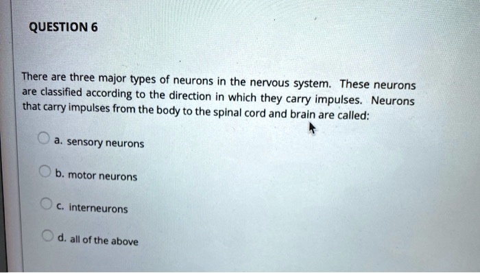 There are three major types of neurons in the nervous system. These neurons are classified according to the direction in which they carry impulses. Neurons that carry impulses from the body to the spinal cord and brain are called:
a. sensory neurons
b. motor neurons
c. interneurons
d. all of the above