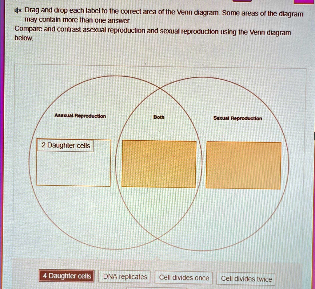 4x Drag and drop each label to the correct area of the Venn diagram ...