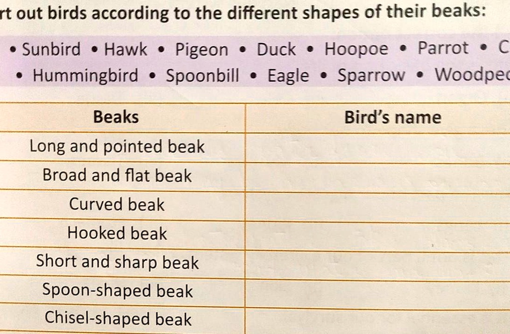 SOLVED "ort out birds according to the different shapes of their beaks