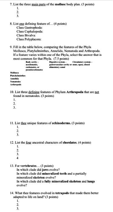 7. List the three main parts of the mollusc body plan. (3 points)
1.
2.
3.

8. List one defining feature of... (4 points)
Class Gastrophoda:
Class Cephalopoda:
Class Bivalva:
Class Polyplacora:

9. Fill in the table below, comparing the features of the Phyla Mollusca, Platyhelminthes, Annelida, Nematoda and Arthropoda. If a feature varies within one of the Phyla, select the answer that is most common for that Phyla. (7.5 points)
Body cavity - acoelomates, coelomates, or pseudocoelomates
Digestive system - gastrovascular cavity or alimentary canal
Circulatory system - none, open, closed
Mollusca
Platyhelminthes
Annelida
Nematodes
Arthropods

10. List three defining features of Phylum Arthropoda that are not found in nematodes. (3 points)
1.
2.
3.

11. List thee unique features of echinoderms. (3 points)
1.
2.
3.

12. List the four ancestral characters of chordates. (4 points)
1.
2.
3.
4

13. For vertebrates... (3 points)
In which clade did jaws evolve?
In which clade did mineralized teeth and a partially mineralized skeleton evolve?
In which clade did a fully mineralized skeleton and lungs evolve?

14. What thee features evolved in tetrapods that made them better adapted to life on land? (3 points)
1.
2.
3.