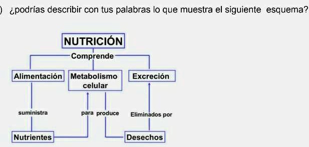 Solved Me Podrían Ayudar Ipodrías Describir Con Tus Palabras Lo Que Muestra El Siguiente 3758