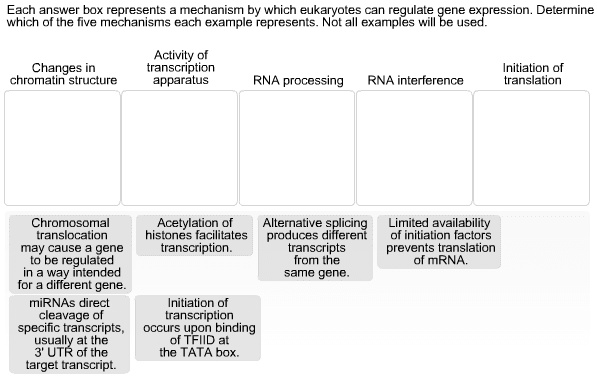 each answer box represents a mechanism by which eukaryotes can regulate ...