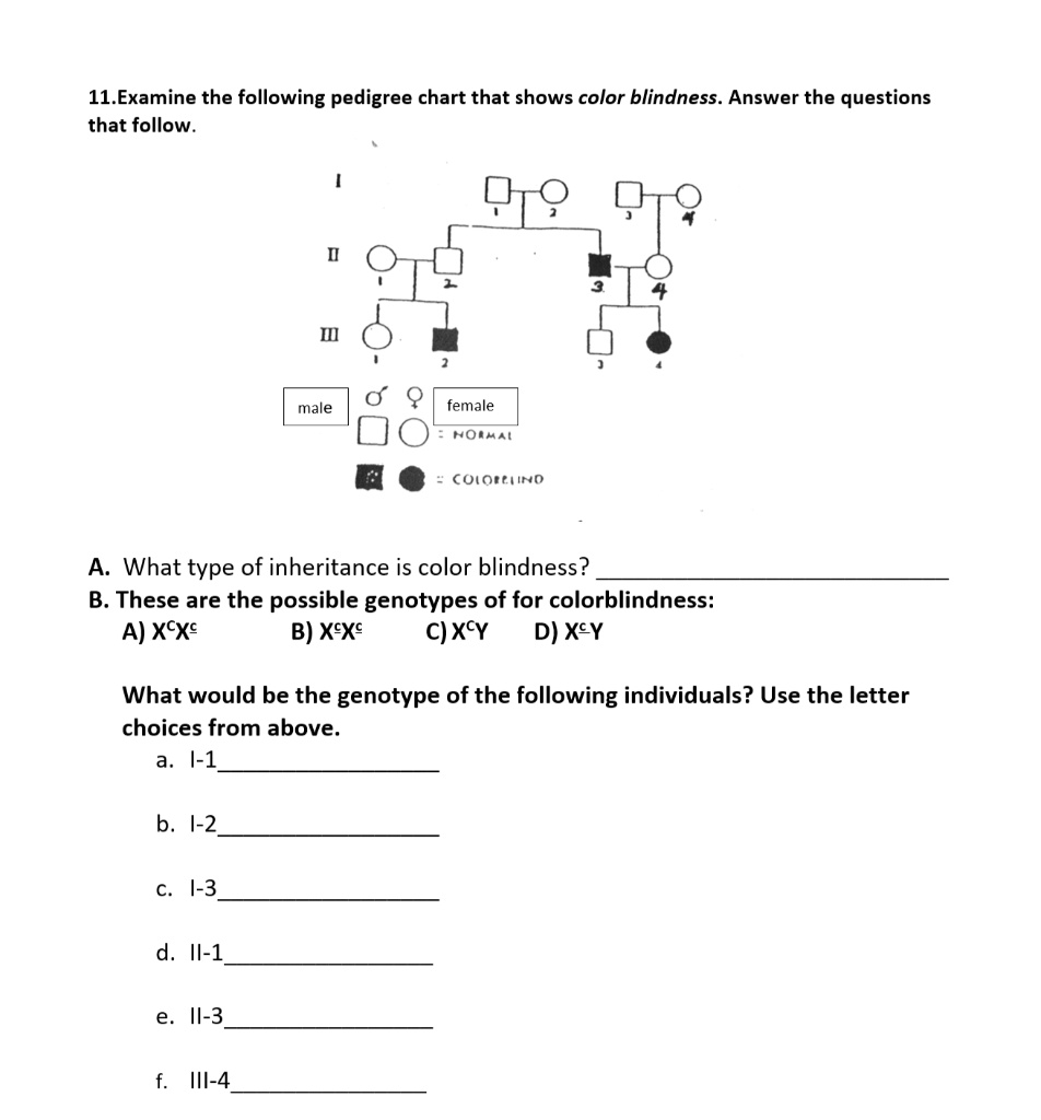 11.Examine the following pedigree chart that shows co… - SolvedLib