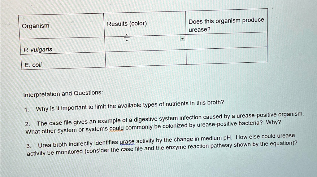 Organism Results (color) Does this organism produce urease? P. vulgaris ...