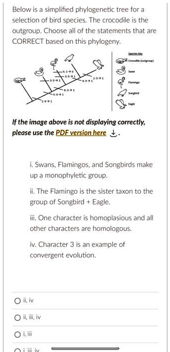 Below is a simplified phylogenetic tree for a
selection of bird species. The crocodile is the
outgroup. Choose all of the statements that are
CORRECT based on this phylogeny.

If the image above is not displaying correctly,
please use the PDF version here.
i. Swans, Flamingos, and Songbirds make
up a monophyletic group.
ii. The Flamingo is the sister taxon to the
group of Songbird + Eagle.
iii. One character is homoplasious and all
other characters are homologous.
iv. Character 3 is an example of
convergent evolution.

O ii, iv
O ii, iii, iv
O i, iii
O i, iii, iv
