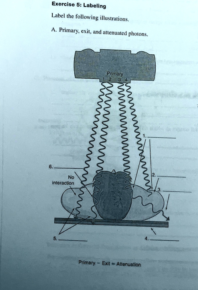 Exercise 5: Labeling
Label the following illustrations.
A. Primary, exit, and attenuated photons.
6.
No
interaction
5.
Primary
1 2 3 4
Primary – Exit = Attenuation
1.
2.
3.
4.
