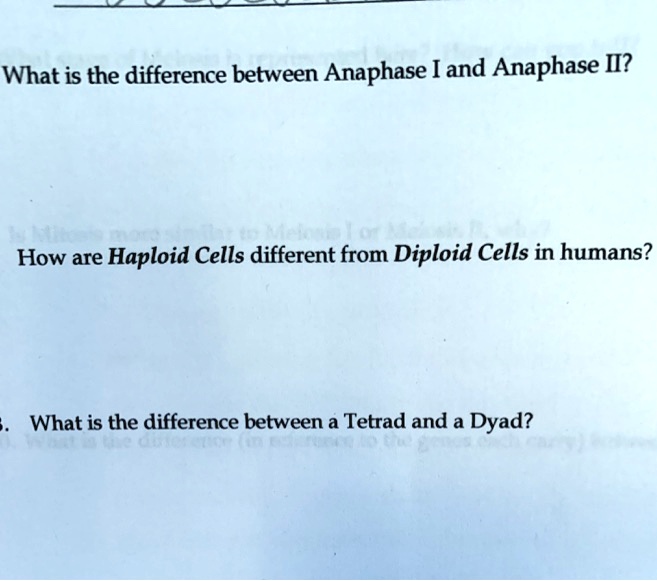 SOLVED What is the difference between Anaphase I and Anaphase II? How