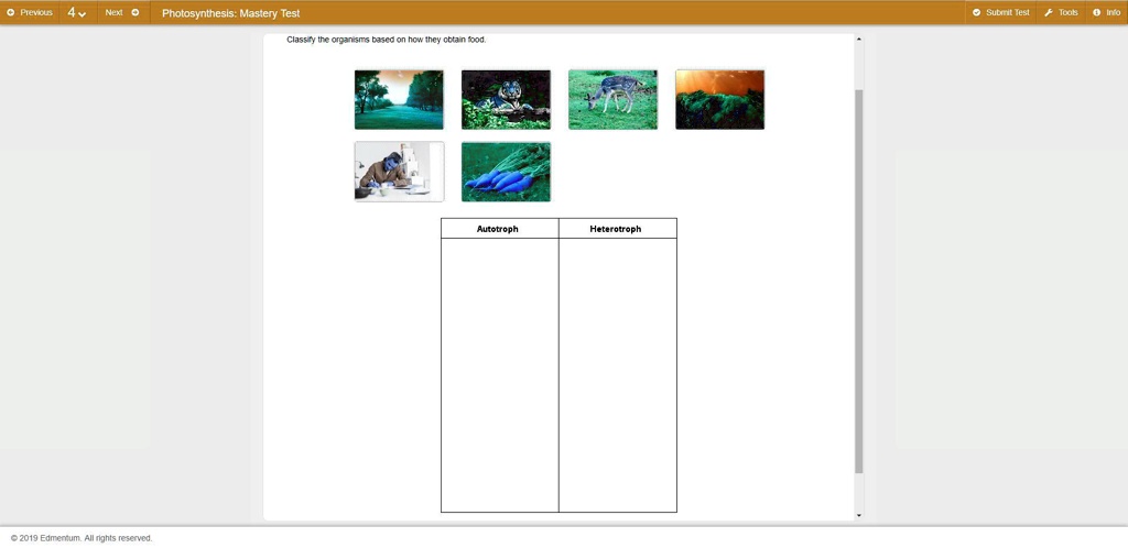 SOLVED: Classify the organisms based on how they obtain food. Aeur