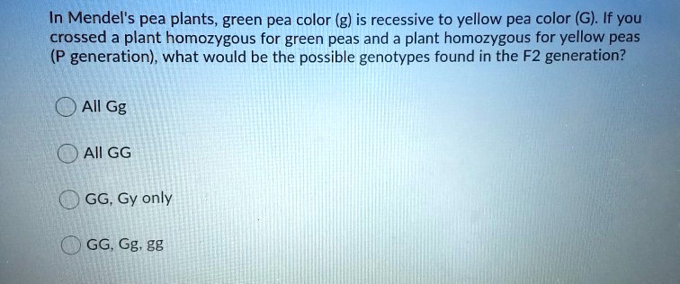 In Mendel's pea plants, green pea color (g) is recessive to yellow pea color (G). If you crossed a plant homozygous for green peas and a plant homozygous for yellow peas (P generation), what would be the possible genotypes found in the F2 generation?
All Gg
All GG
GG, Gg only
GG, Gg, gg