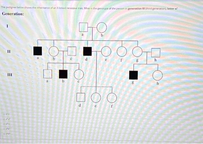 SOLVED: The pedigree below shows the inheritance of an X-linked ...