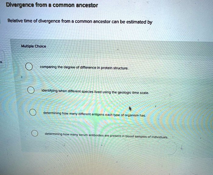 dlvergence from common ancestor relative time of divergence from a