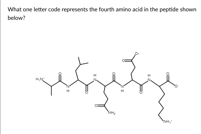 SOLVED What one letter code represents the fourth amino acid in the