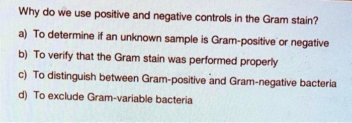 Why do we use positive and negative controls in the Gram stain?
a) To determine if an unknown sample is Gram-positive or negative
b) To verify that the Gram stain was performed properly
c) To distinguish between Gram-positive and Gram-negative bacteria
d) To exclude Gram-variable bacteria
