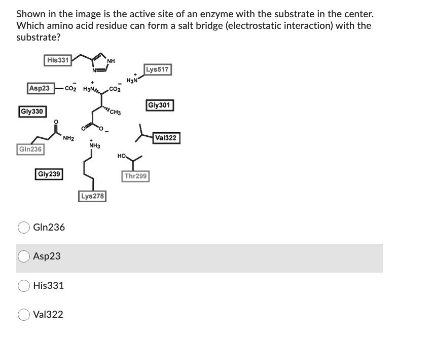 SOLVED: Shown in the image is the active site of an enzyme with the ...
