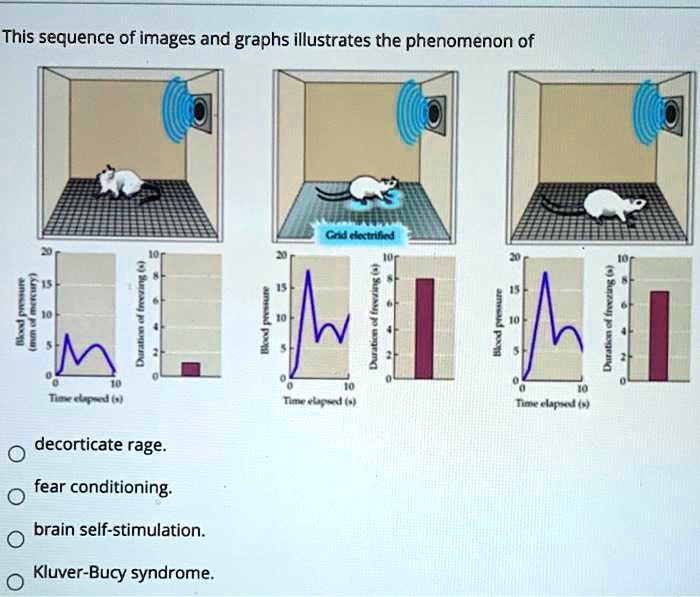 [GET ANSWER] This sequence of images and graphs illustrates the ...