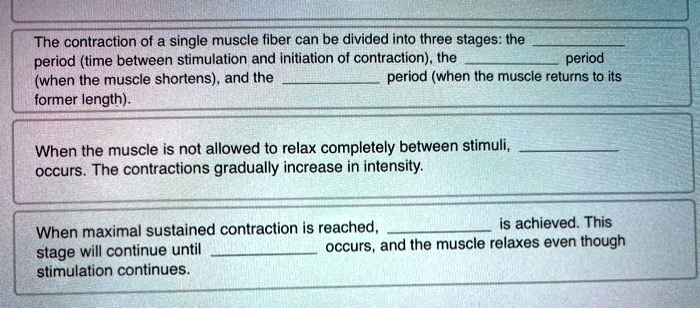 The contraction of a single muscle fiber can be divided into three stages: the  period (time between stimulation and initiation of contraction), the  period (when the muscle shortens), and the  period (when the muscle returns to its former length).

When the muscle is not allowed to relax completely between stimuli,  occurs. The contractions gradually increase in intensity.

When maximal sustained contraction is reached,  is achieved. This stage will continue until  occurs, and the muscle relaxes even though stimulation continues.
