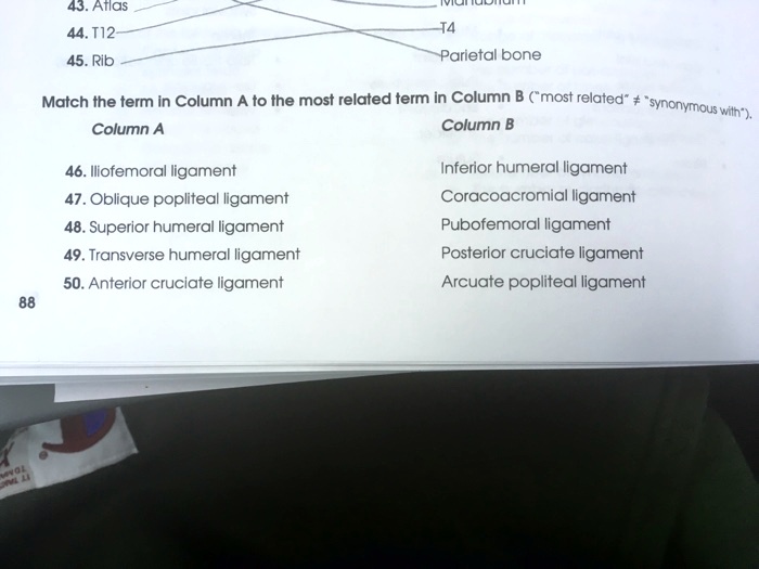 SOLVED: 43. Atlas 44. T12 T4 45. Rib Parietal bone Column A Column B 46 ...