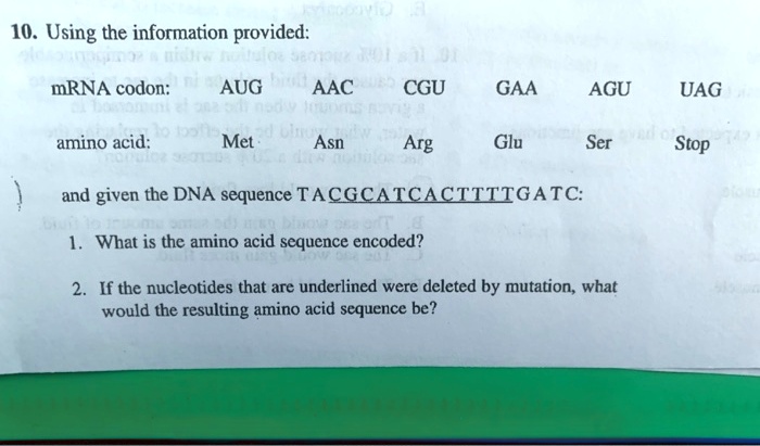 SOLVED: 10. Using the information provided: mRNA codon; AUG AAC CGU GAA ...