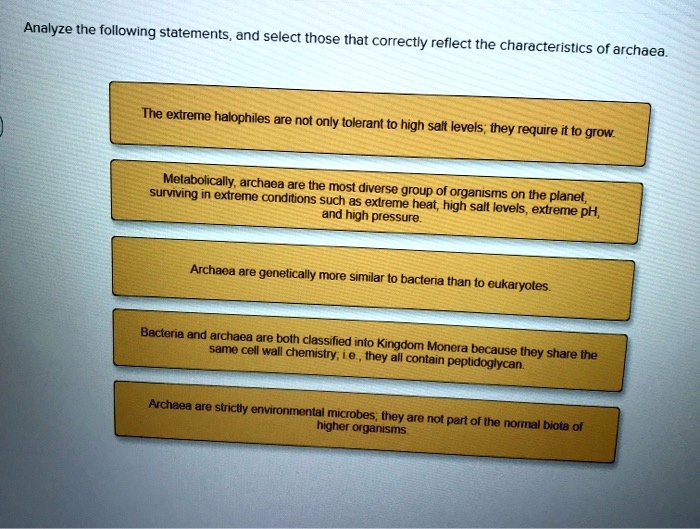 SOLVED Analyze the following statements and select those that correctly reflect the