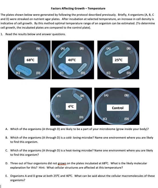 SOLVED Factors Affecting Growth Temperature The plates shown below