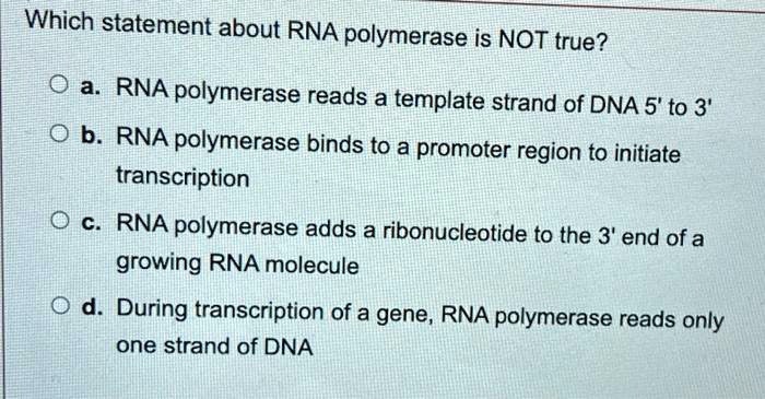 solved-which-statement-about-rna-polymerase-is-not-true-0-rna