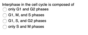 SOLVED: Interphase in the cell cycle composed of only G1 and G2 phases ...