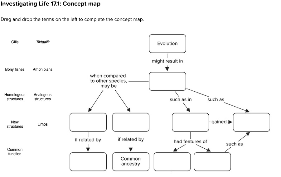 SOLVED: Investigating Life 17.1: Concept map Drag and drop the terms on ...