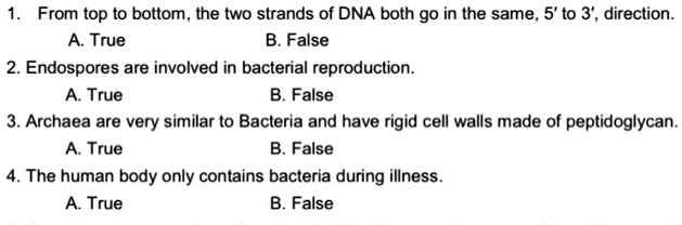 1. From top to bottom, the two strands of DNA both go in the same, 5' to 3', direction.
A. True
B. False
2. Endospores are involved in bacterial reproduction.
A. True
B. False
3. Archaea are very similar to Bacteria and have rigid cell walls made of peptidoglycan.
A. True
B. False
4. The human body only contains bacteria during illness.
A. True
B. False