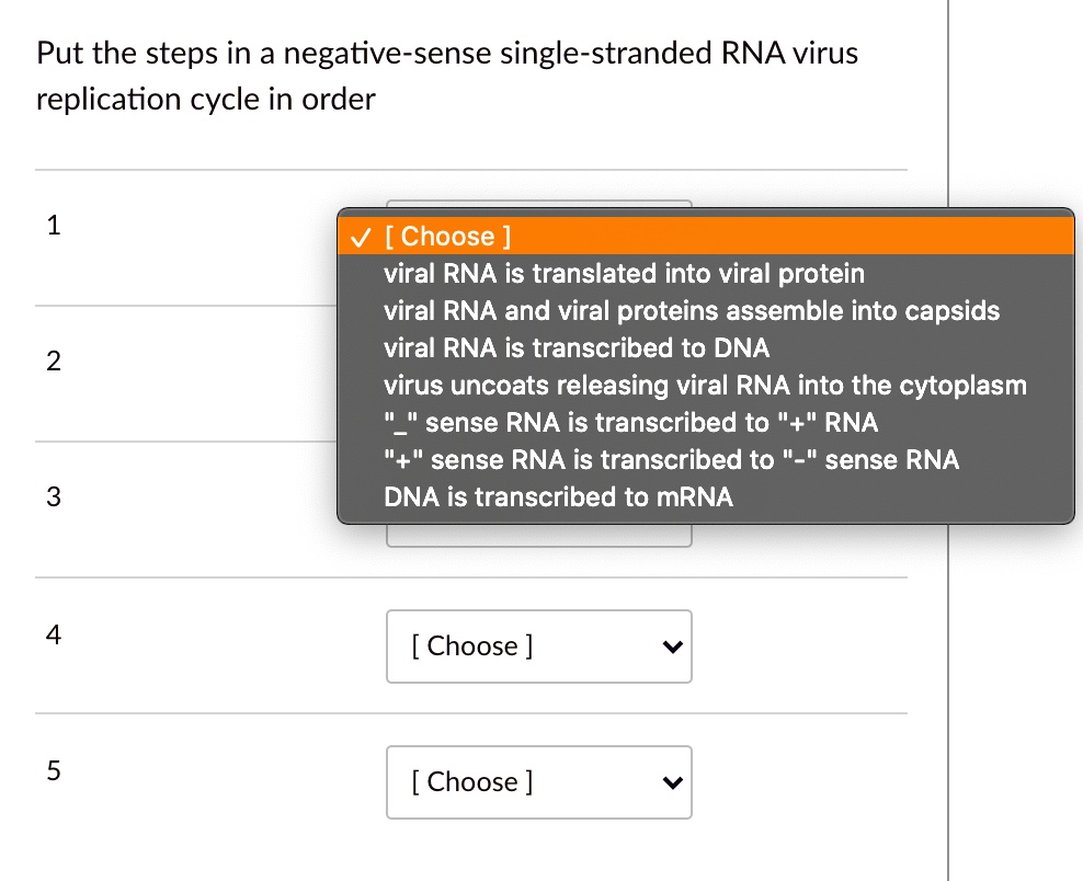 SOLVED Put the steps in a negativesense singlestranded RNA virus