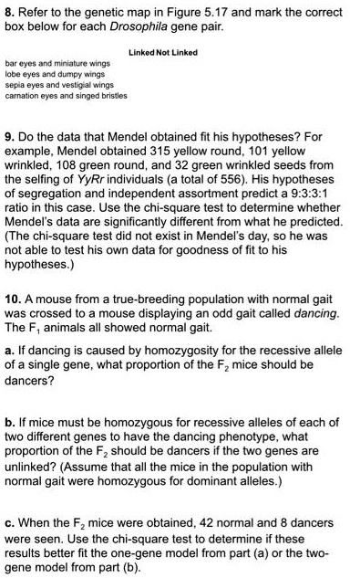 punnet-square-ratios-study-guide-to-mcat-genetics