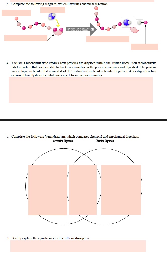 SOLVED Complete the following diagram which illustrates chemical