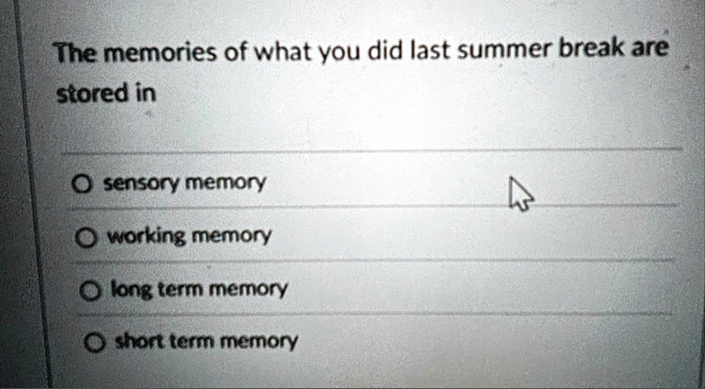 the memories of what you did last summer break are stored in o sensory memory o working memory o long term memory o short term memory 76077