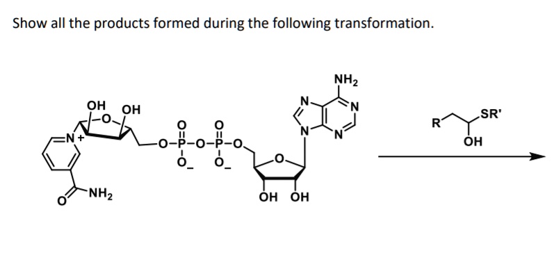 SOLVED: Show all the products formed during the following ...