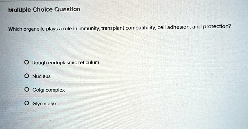 Multiple Choice Question
Which organelle plays a role in immunity, transplant compatibility, cell adhesion, and protection?
O Rough endoplasmic reticulum
O Nucleus
O Golgi complex
O Glycocalyx