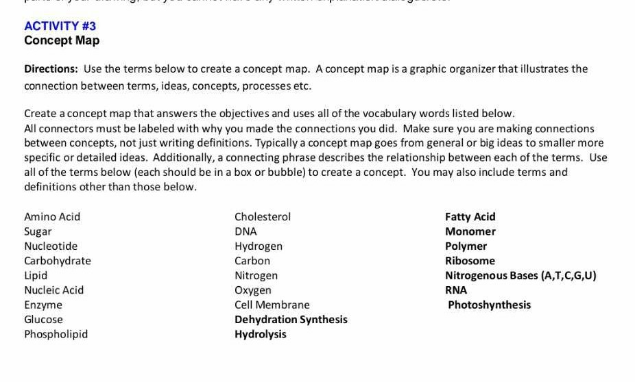 ACTIVITY #3 Concept Map Directions: Use the terms below to create a ...