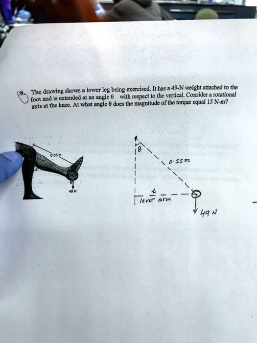 The drawing shows a lower leg being exercised. It has a 49-N weight attached to the foot and is extended at an angle ? with respect to the vertical. Consider a rotational axis at the knee. At what angle ? does the magnitude of the torque equal 15 N-m?